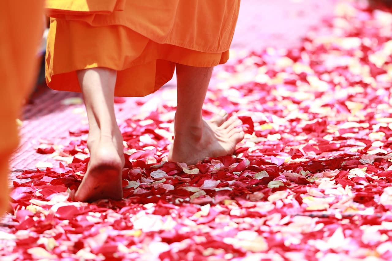 monk walking rose petals buddhism 458491